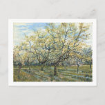 The White Orchard (F403) Van Gogh Fine Art Postkarte<br><div class="desc">Weißer Obstgarten,  Vincent van Gogh 1888. Amsterdam. F 404</div>