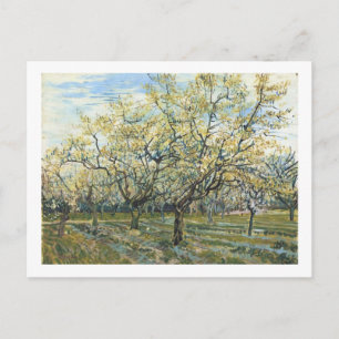 The White Orchard (F403) Van Gogh Fine Art Postkarte
