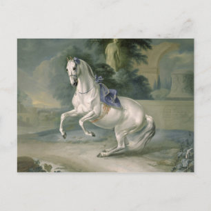 The White Stallion 'Leal' en levade, 1721 Postkarte