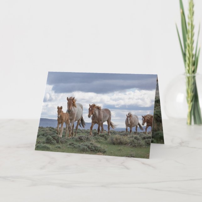 The Wild Roan Family Runs Greeting Card Einladung (Vorderseite)