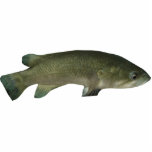 The Wish Fish Family - Harold Foto Sculpture Keyc<br><div class="desc">Zeigen Sie Ihre Liebe von "The Wish Fish Family" mit diesem modischen Harold Schlüsselanhänger!</div>