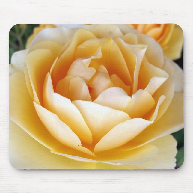 The Yellow Rose Mousepad (Vorne)