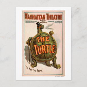 Theater Manhattan New York Broadway The Turtle Postkarte