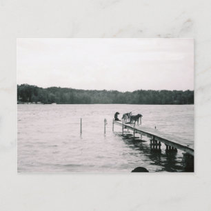 Thelma am Dock Postkarte