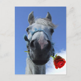 Thema "Liebe von Pferden und Rose" Postkarte