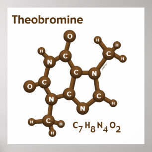 Theobromin Poster