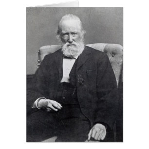 Theodor Sturm, c.1886