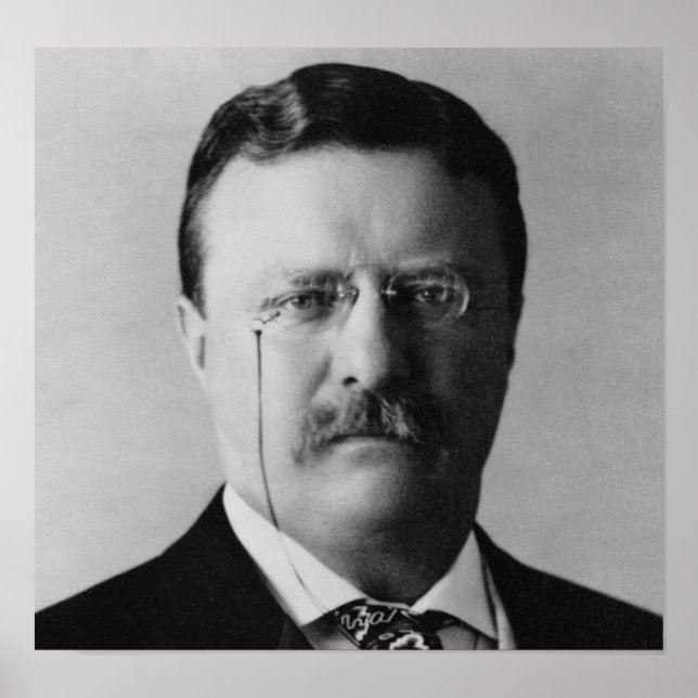Theodore Roosevelt 26 Poster (Vorne)