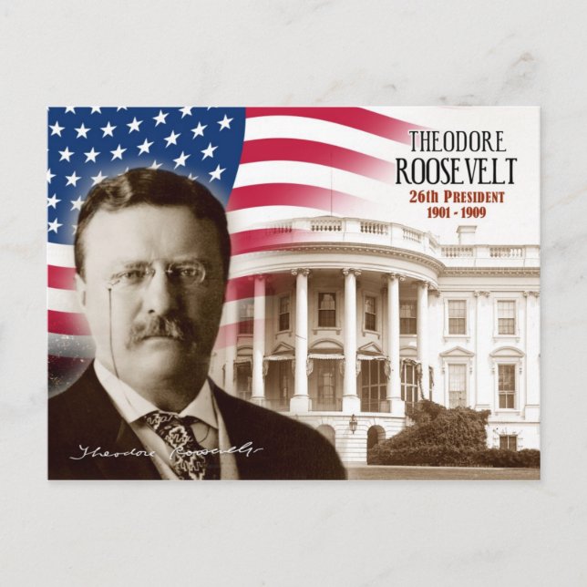 Theodore Roosevelt - 26. Präsident der USA Postkarte (Vorderseite)