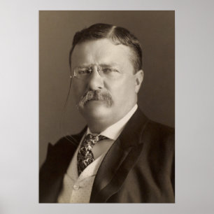 Theodore Roosevelt, 26. US-Präsident Poster