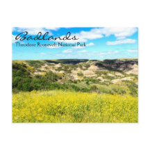Theodore Roosevelt Badlands, ND Postcard