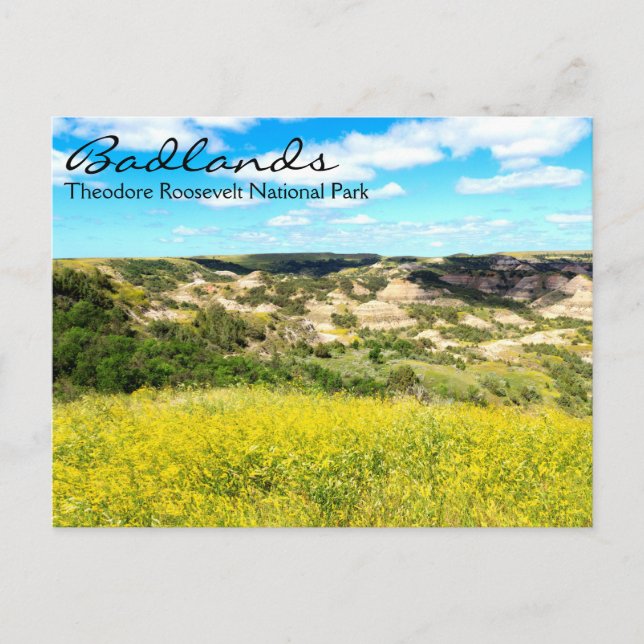 Theodore Roosevelt Badlands, ND Postcard Postkarte (Vorderseite)