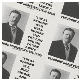 Theodore Roosevelt bin ich so stark wie ein Stoff