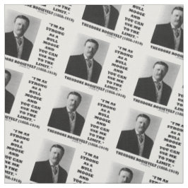 Theodore Roosevelt bin ich so stark wie ein Stoff