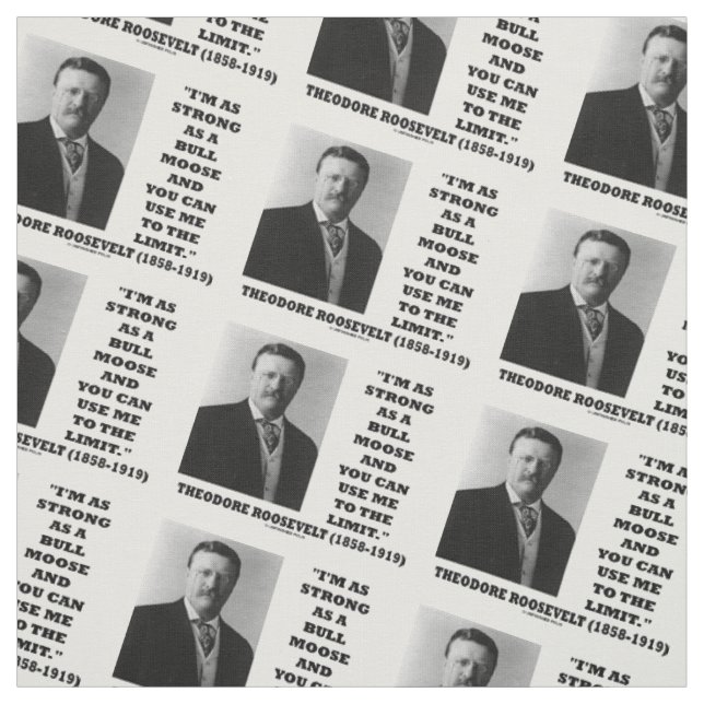 Theodore Roosevelt bin ich so stark wie ein Stoff (Muster)