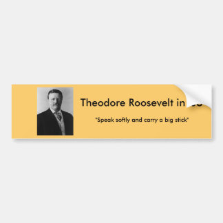 Theodore Roosevelt für Präsidenten Autoaufkleber