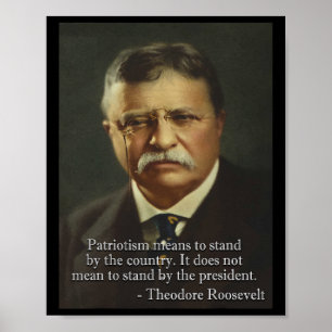 Theodore Roosevelt Meme Anti Trump T-Shirt Poster