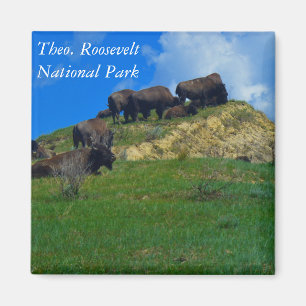 Theodore Roosevelt National Park ND Magnet