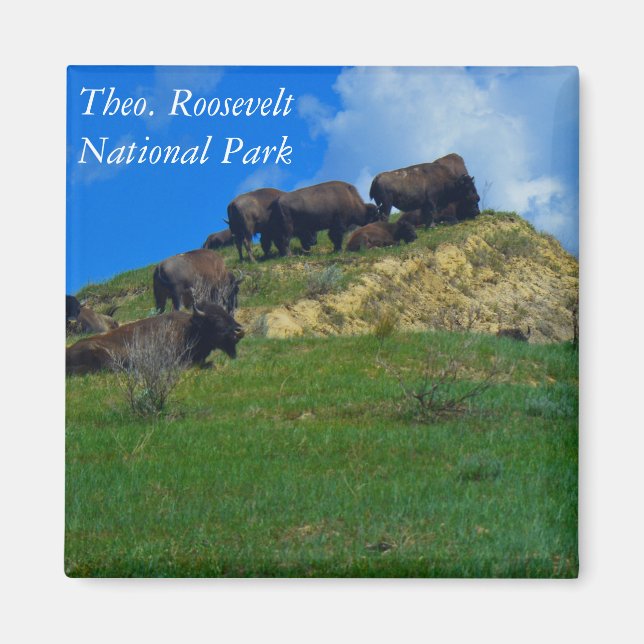 Theodore Roosevelt National Park ND Magnet (Vorne)