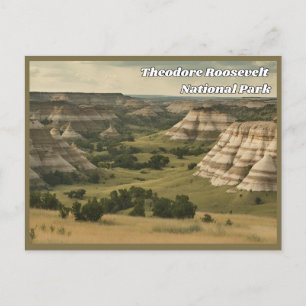 Theodore Roosevelt Nationalpark Vintag Postcard Postkarte