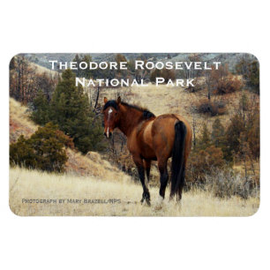 Theodore Roosevelt NP Souvenir Magnet