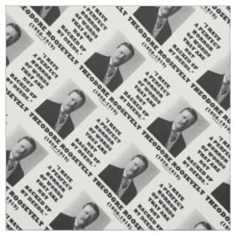 Theodore Roosevelt Perfect Horror Words Deeds Stoff