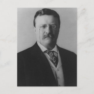 Theodore Roosevelt Portrait Postkarte