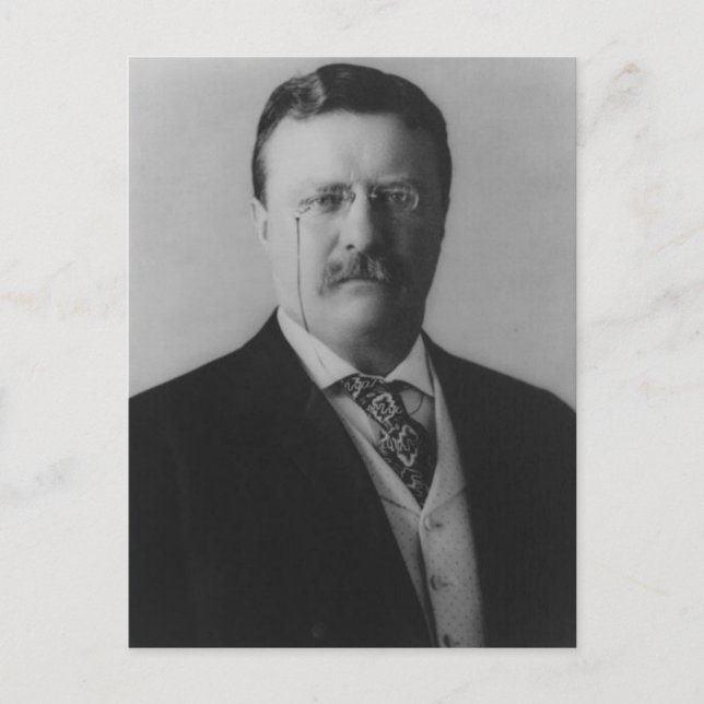 Theodore Roosevelt Portrait Postkarte (Vorderseite)