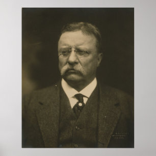 Theodore Roosevelt Portrait von den Pach Brothers Poster