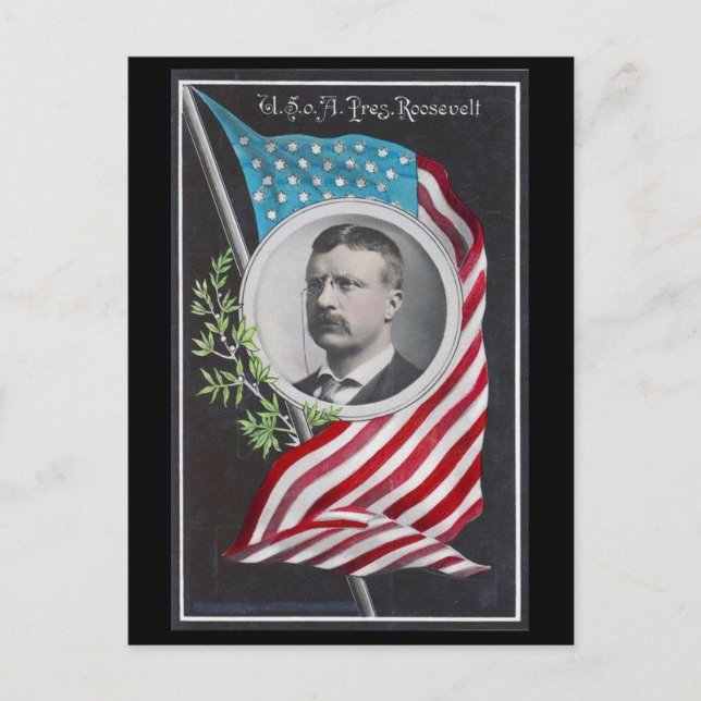 Theodore Roosevelt Postkarte (Vorderseite)