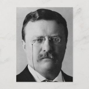 Theodore Roosevelt Postkarte