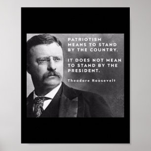 Theodore Roosevelt Pro-Demokratie Anti-Trump Patri Poster
