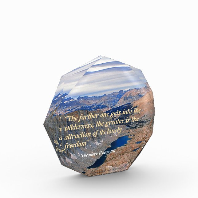 Theodore Roosevelt-Quote Fotoblock (Links)