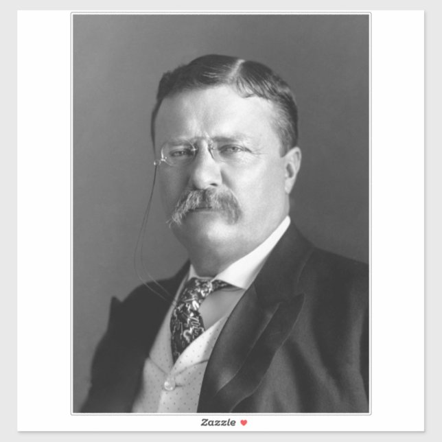 Theodore Roosevelt Teddy Präsident Republikaner Aufkleber (Blatt)
