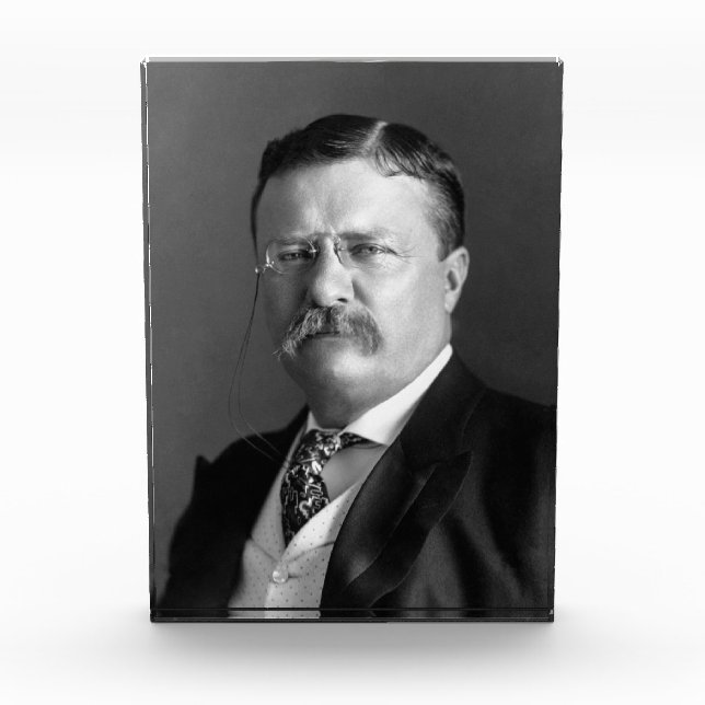 Theodore Roosevelt Teddy Präsident Republikaner Fotoblock (Vorderseite)