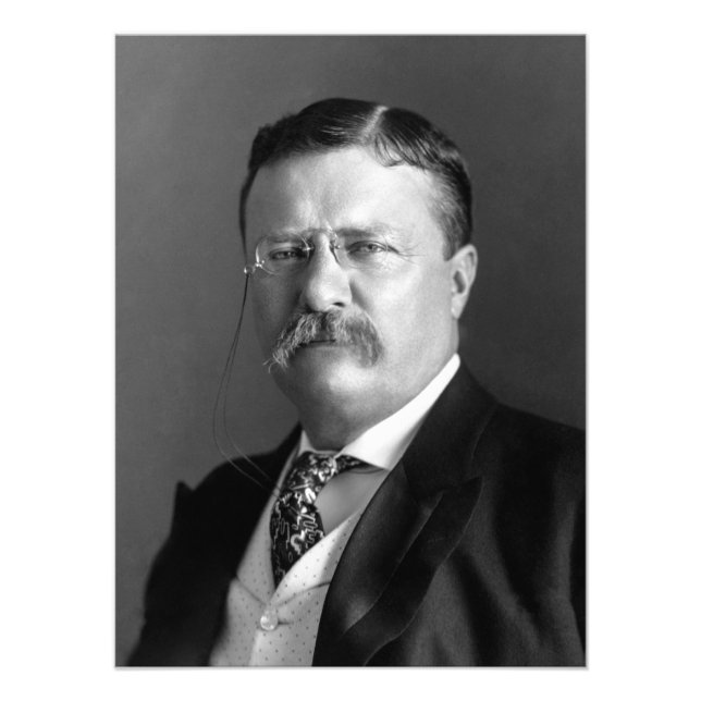 Theodore Roosevelt Teddy Präsident Republikaner Fotodruck (Vorne)