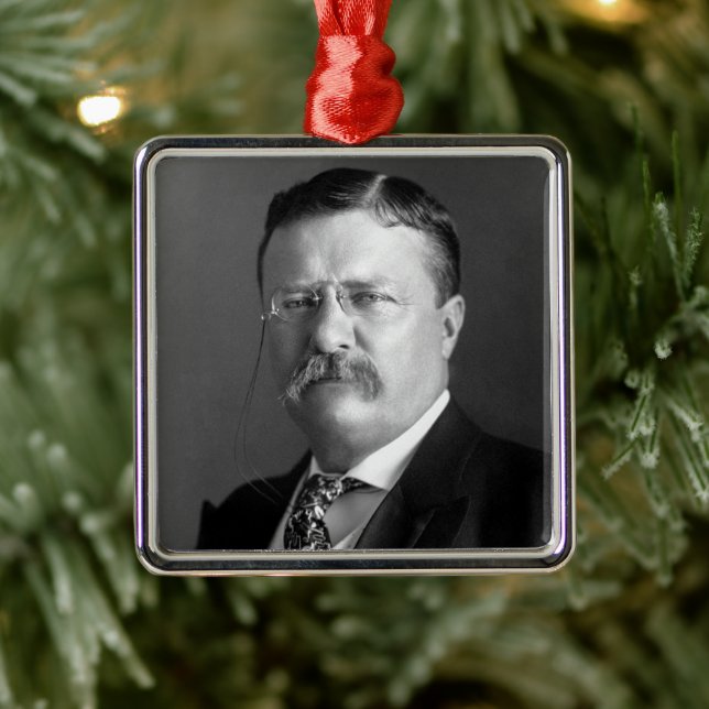 Theodore Roosevelt Teddy Präsident Republikaner Ornament Aus Metall (Baum)