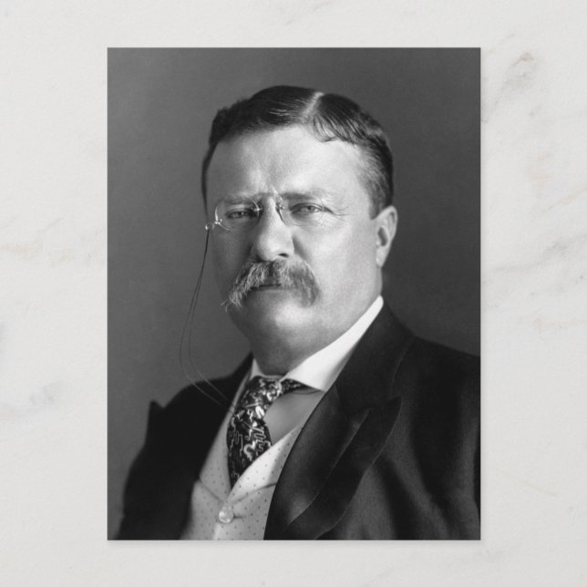 Theodore Roosevelt Teddy Präsident Republikaner Postkarte (Vorderseite)