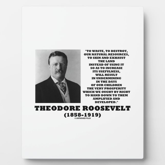 Theodore Roosevelt Waste Zerstörung natürlicher Re Fotoplatte (Vorderseite)