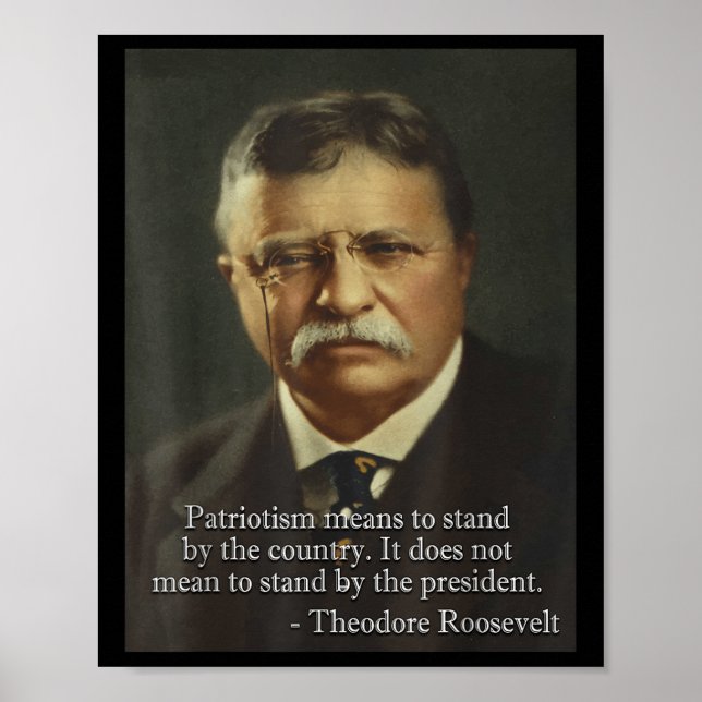 Theodore Teddy Roosevelt Meme _ Anti Trump T-Shirt Poster (Vorne)
