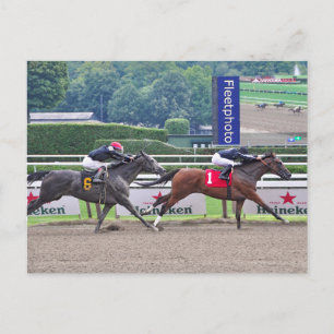 Theophilie schlägt Carrumba Postkarte