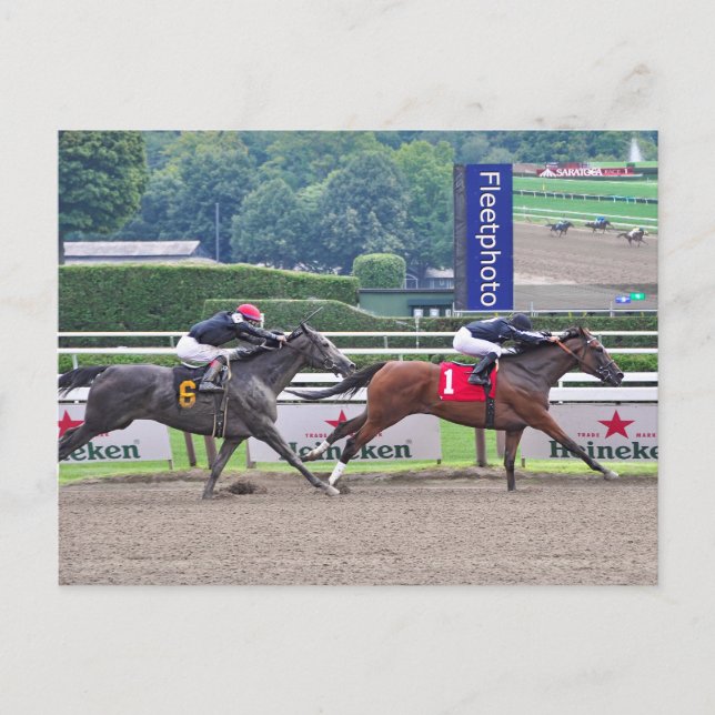 Theophilie schlägt Carrumba Postkarte (Vorderseite)