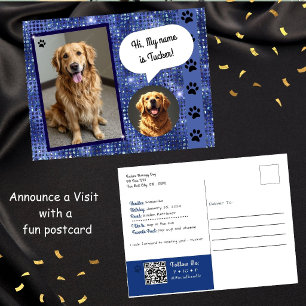 Therapie-Hund Besuch Blue Sparkle Postkarte