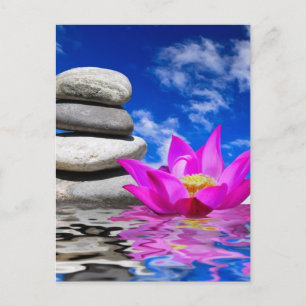 Therapie Rock Stones & Lotus Blume Postkarte