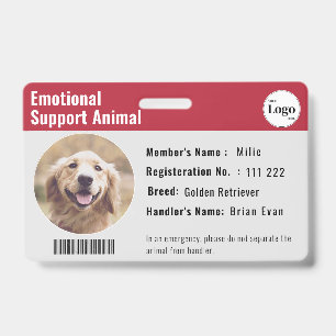 Therapie Tier-ID Foto Barcode Rot Grau Ausweis