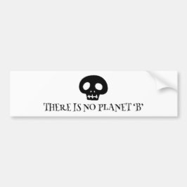There is no planet 'B' Autoaufkleber