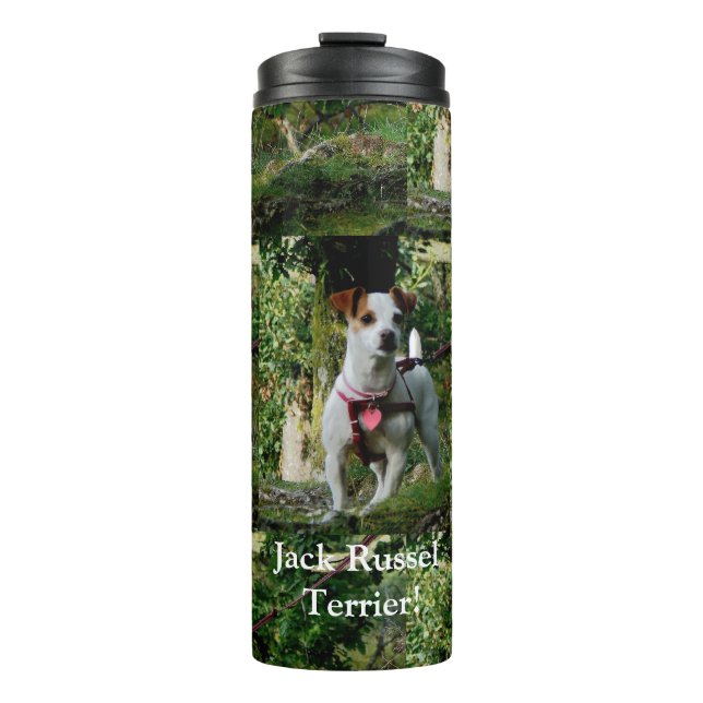 Thermal Tumbler/Jack Russell Terrier! Thermosbecher (Vorderseite)