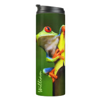 Thermaltrommel des Frosch-2