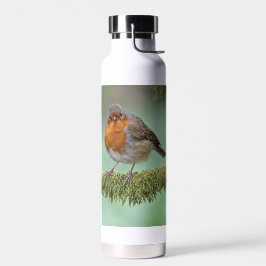 Thermische Flasche mit einem Foto Robin