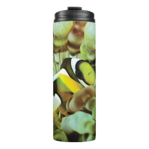 Thermische Tasse mit clownfish Entwurf